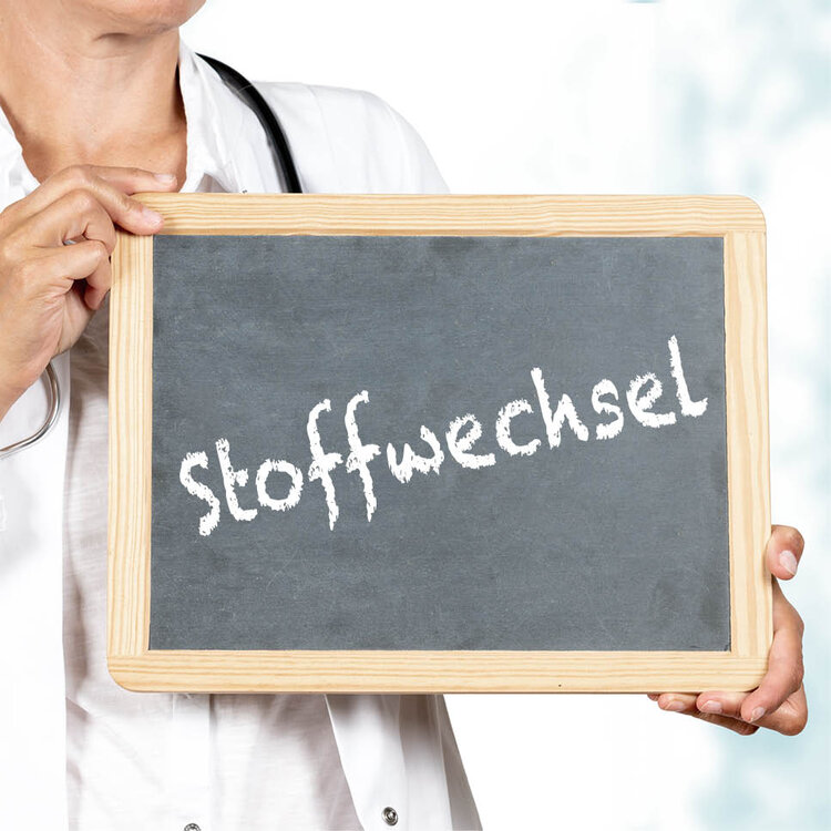 Kreidetafel mit dem Wort "Stoffwechsel"